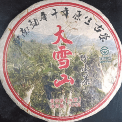 大 雪 山 千禧年 古茶